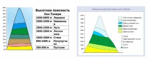 По рисункам, определите закономерность географической оболочки Б) какие два фактора являются решающи