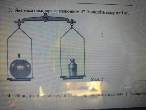 Яка маса помідора за малюнком?Запишіть масу в г і кг