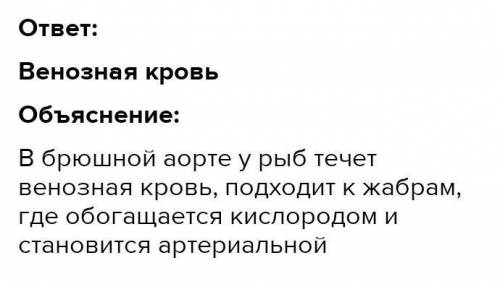 1. Нервная система рыб: А. состоит из головного и спинного мозга и отходящих от них нервов; Б. обр