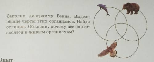 Заполни диаграмму Венна. Выдели общие черты этих организмов. Найди отличия. Объясни, почему все они