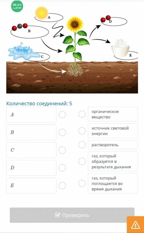 Соотнеси название частей рисунка с их функциями и действиями.