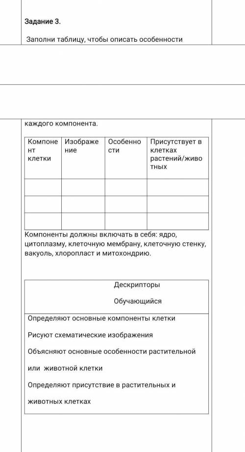 Задание 3. Заполни таблицу, чтобы описать особенности каждого компонента. Компонент клетки Изображен