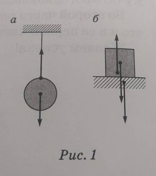 2. Обозначьте и назовите силы, показанные на рисунке 1. Сравните их модули. Чем отли- чаются эти сил