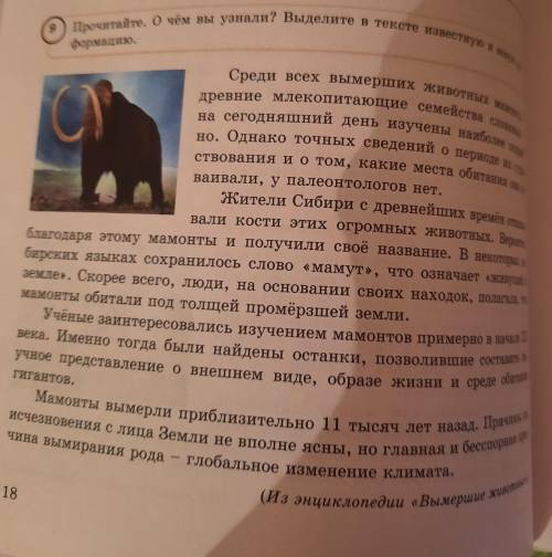 4. Составьте 1 «тонкий» и 1 «Тол- стый» вопросы к 1-му и 2-му аб- зацам текста.