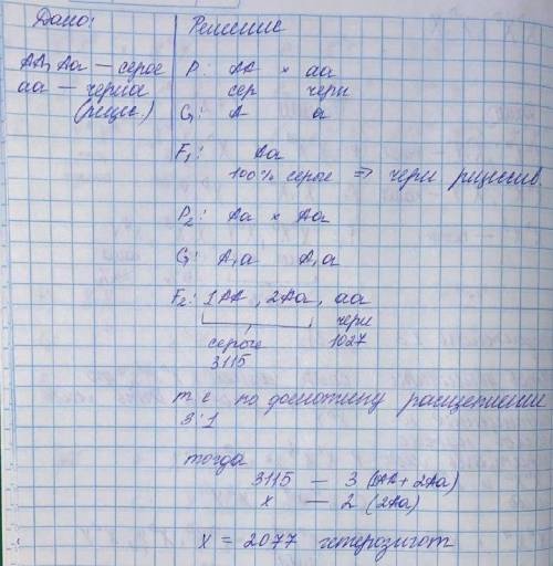 При скрещивании серой мухи-дрозофилы с чёрным самцом всё потомство в F1 серого цвета. В F2 (от скрещ