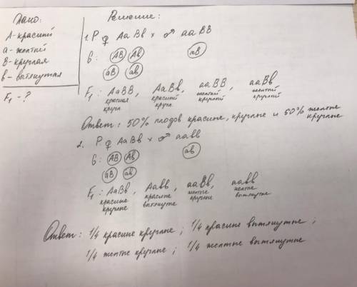 Мичурин И. В. (селекционер) проводил опыт, скрещивая два сорта яблок. Какие гибриды первого поколени