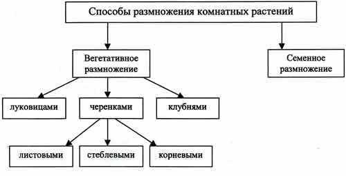 завтра меня спросят а у меня спорная оценка.