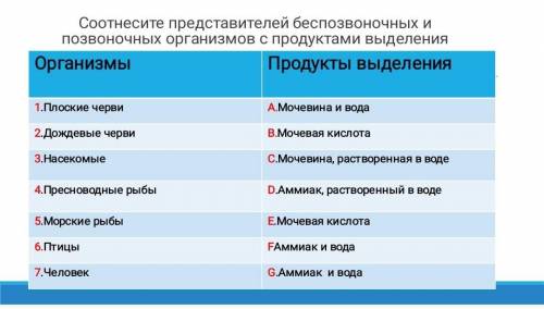 Соотнесите представителей беспозвоночных и позвоночных организмов с продуктами выделения продукты вы