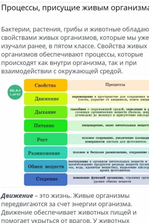 Процессы, присущие живым организмам Бактерии, растения, грибы и животные обладают свойствами живых о