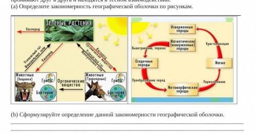 А) определите закономерность географической оболочки по рисункам б)сформулируйте определение законом