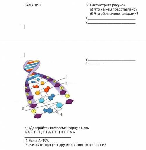 Рассмотрите рисунок 1)что на нем представлено? 2)что обозначено по цифрами 1;2;3;4? 3) достройте