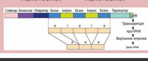 что здесь не так? учителю что-то не нравится здесь