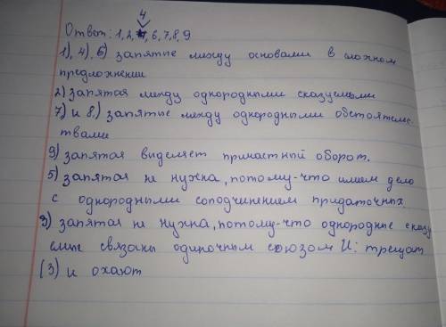 2. Расставьте знаки препинания Укажите цифры, на месте которых должны стоять запятые. Графически ука