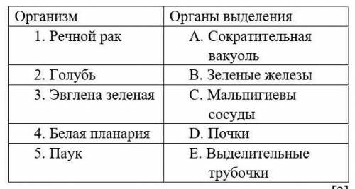 Найдите соответствие. Организм Органы выделения 1.     Речной рак A.   Сократительная вакуоль 2.    