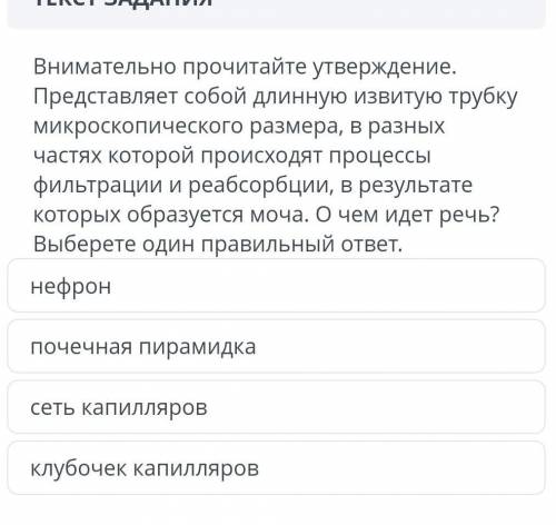 Внимательно прочитайте утверждение. Представляет собой длинную извитую трубку микроскопического разм