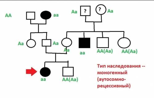 Пробанд має білу прядку волосся над лобом. Брат пробанда без прядки. По лінії батька пробанда аномал