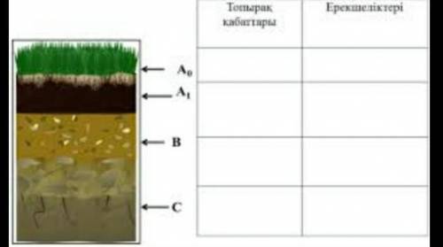 2. Напишите слои и свойства почвы по данному рисунку сейчас быстро