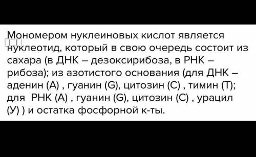 Что такое мономер нуклеиновых кислот? Какая часть мономера отличает один нуклеотид ДНК от другого? 2