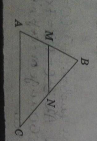 Користуючись малюнком, знайдіть МN, якщо АС 20 см, MN II АС, а точка М ділитиме сторону АВ трекутник
