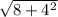 \sqrt{8+4^{2}