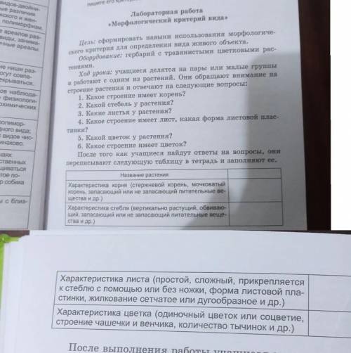 составить характеристику любого растения (не одуванчик,не роза, не ромашка)