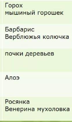 Видоизменение листьев (примеры) и почему они изменились.(даю 27б)