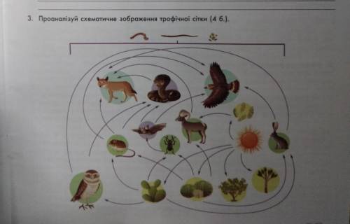 Змоделюй 10 трофічних ланцюгів... з фото
