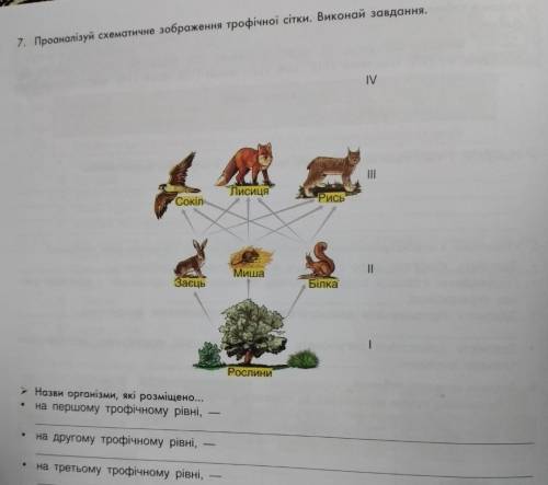 Проаналізуй схематичне зображення трофічної сітки виконай завдання