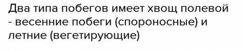 Какое растение имеет два типа побегов?(Биология)