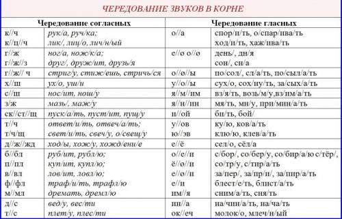 5 фактов о чередование звуков в корне