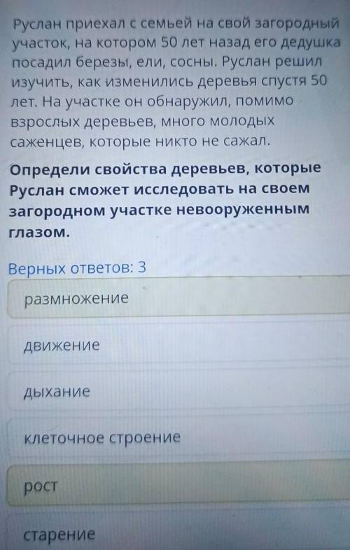 Руслан приехал с семьей на свой загородный участок на котором 50 лет назад его дедушка посадил берёз