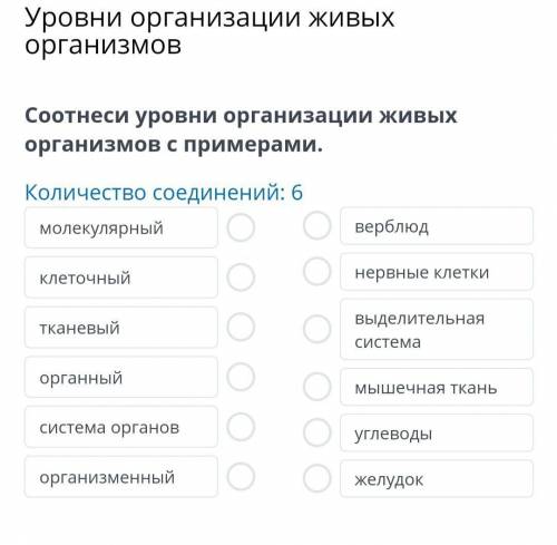 мне нужно отправить учителю через 6минут быстрее