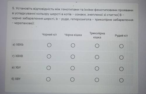 Установіть відповідність між генотипами та іхніми фенотиповими проявами в успадкуванні кольору шерст