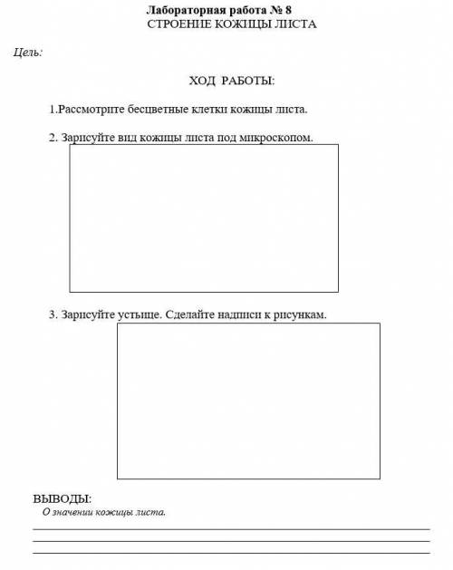 Распечатайте и сделайте работу