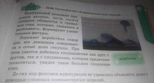 211В. какая информация, содержащаяся в этом тексте, отсутствует в видеорепортаже? запишите в схему в