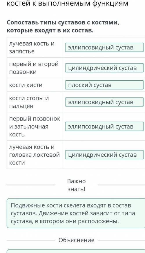 Сопоставь типы суставов с костями, которые входят в их состав. лучевая кость и запястье, первый и вт