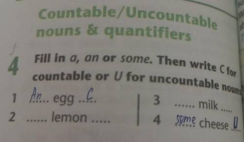 4 Fill in a, an or some. Then write C for countable or U for uncountable nouns, 1 egg... 3 2 lemon