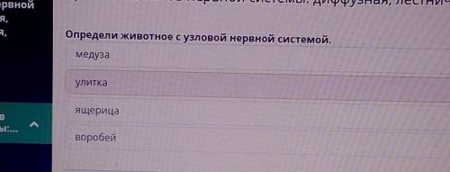 Определи животное с узловой нервной системой. медуза улитка Ящерица воробей