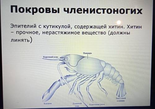 Лабораторная работа Тема:Изучение особенностей различных покров телаЦель работы:выявить сходство и р