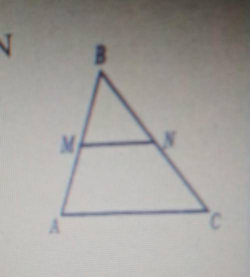 MN || AC. Знайти АМ, якщо АВ 6 см, MN 4см, АС АС 12см.