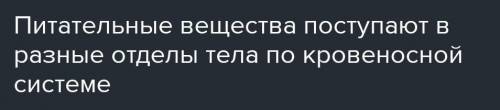 Памагите транспортируются вещества у живых организмов, в частности у человека?