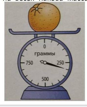 Лена покупала грейпфруты и лимоны.Она выбрала грейпфрут и положила его на весы.Какова масса грейпфру