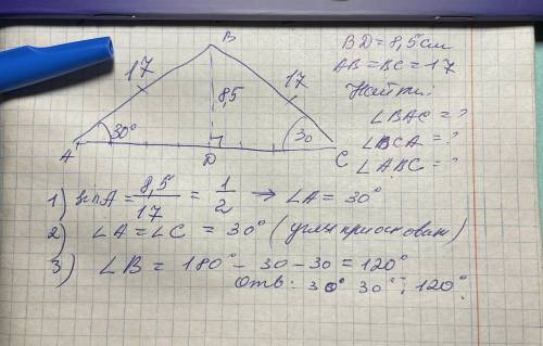 В равнобедренном треугольнике ABC произведена высота BD к основанию AC. Длина высоты – 8,5 см. Длина