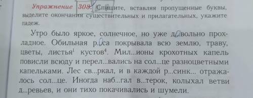 Упражнение 308. Спишите, вставляя пропущенные буквы, Вателите окончания существительных и прилагател