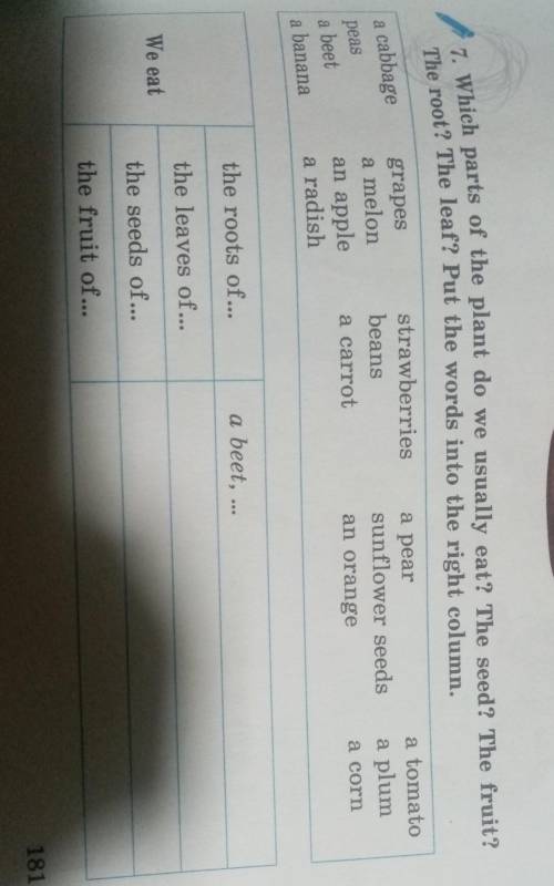 7. Which parts of the plant do we usually eat? The seed? The fruit? The root? The leaf? Put the word