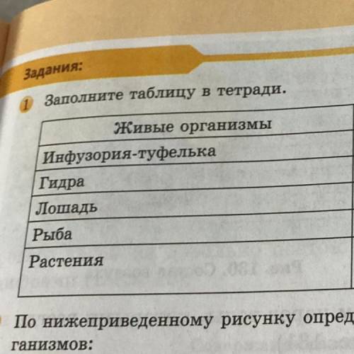 Задания: Заполните таблицу в тетради. Живые организмы Транспорт питательных веществ Инфузория-туфель