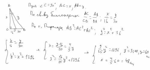 Биссектриса острого угла прямоугольного треугольника делит катет на отрезки 16см и 20см. Найти катет