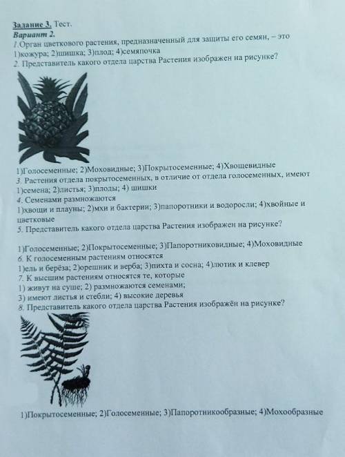 решить лабораторную работу по биологии Изучение органов цветкового растения вторая фотография допо