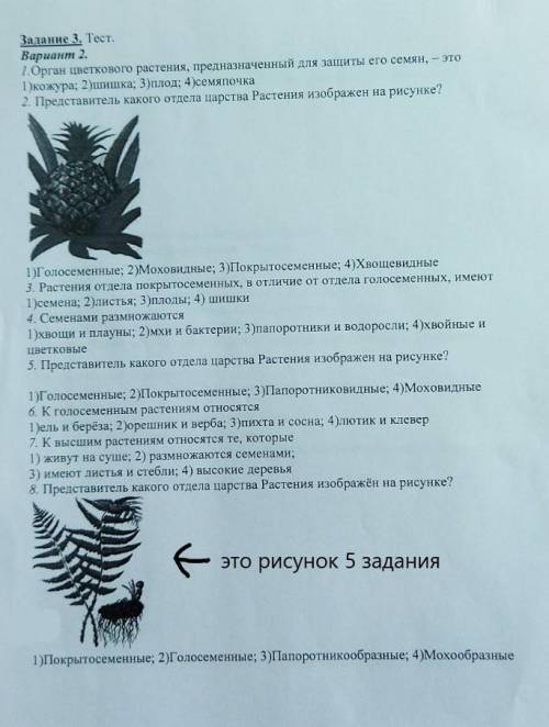 решить лабораторную работу по биологии Изучение органов цветкового растения