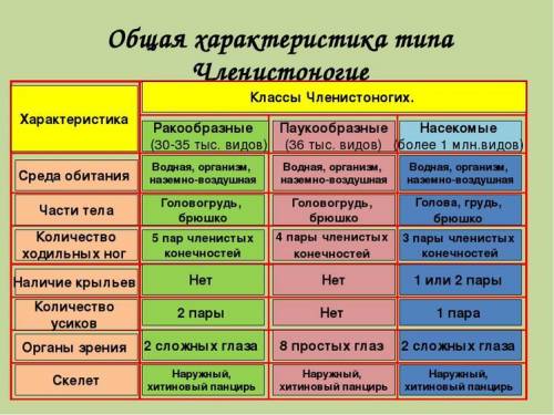 Какие основные признаки характеризуют представители классов ракообразных паукообразных, насекомых?